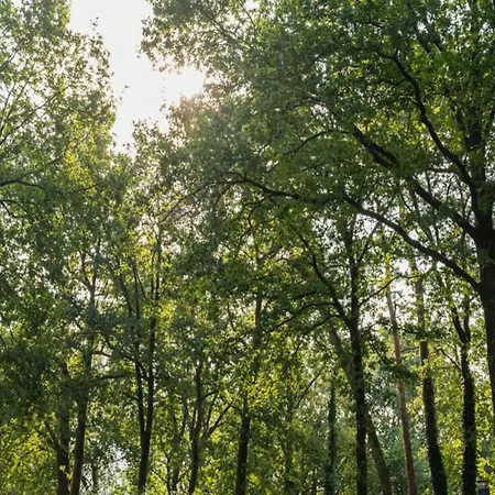 Holiday home Stylish In *