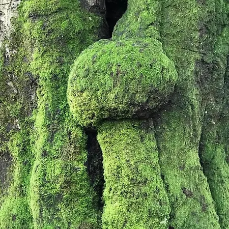 Stylish In * Hoenderloo