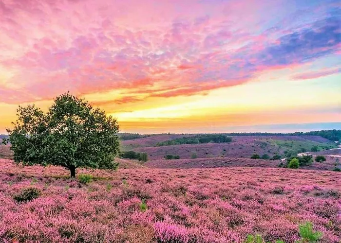 Dom wakacyjny Stylish In *