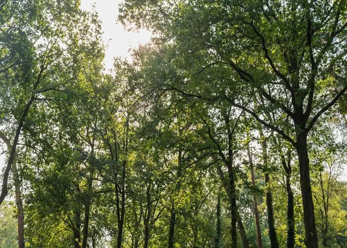 Dom wakacyjny Stylish In *